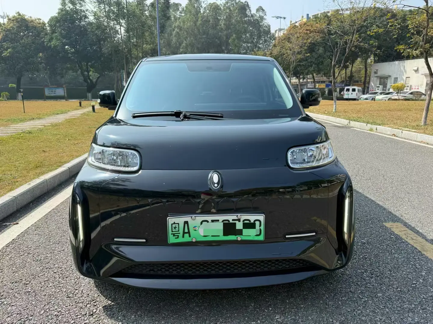 ORA Euler white cat  из Китая