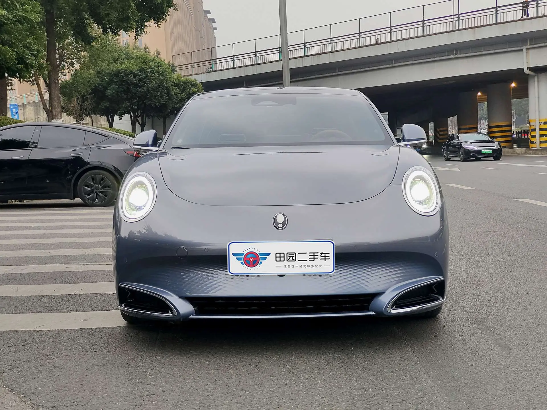 ORA Euler lightning cat  из Китая