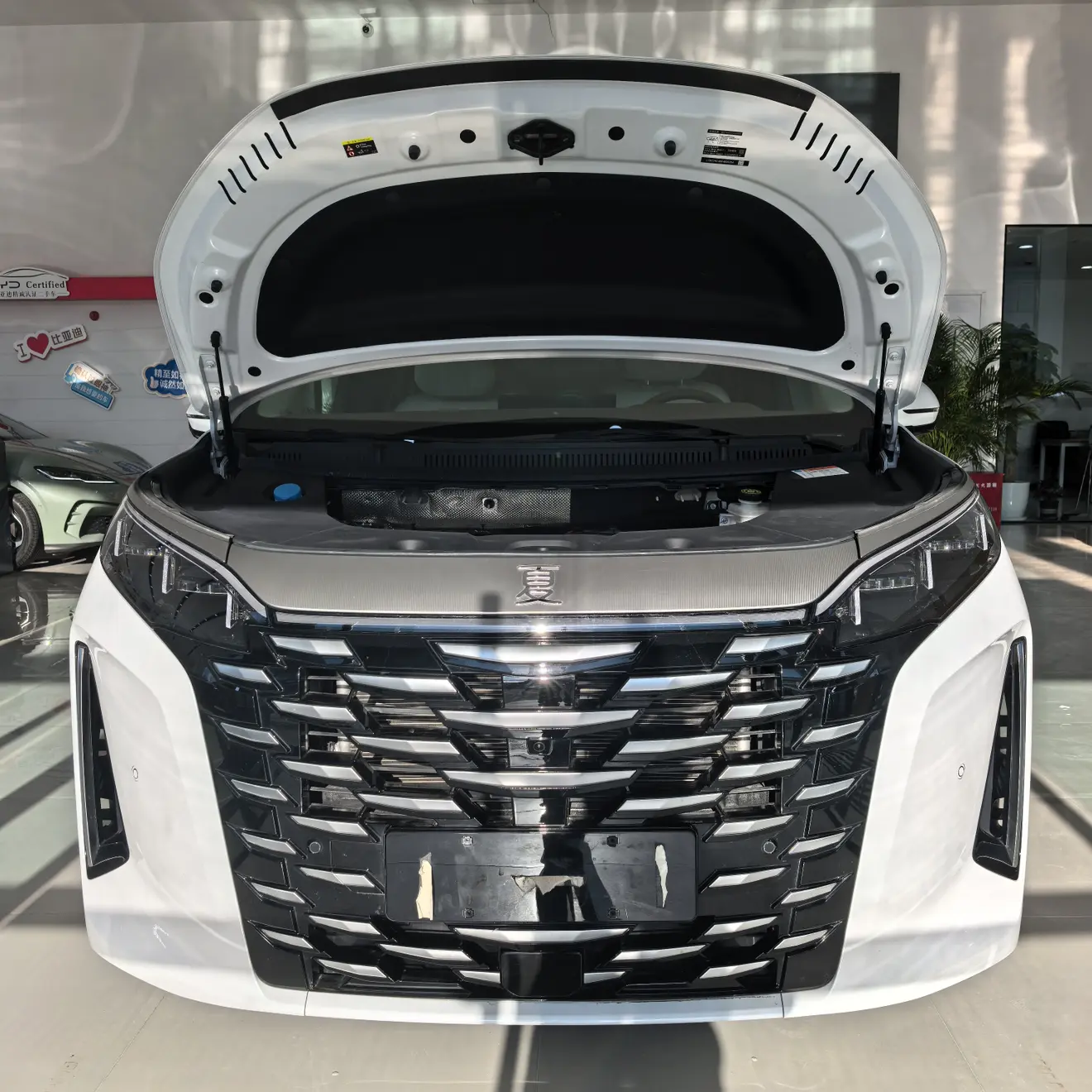 BYD Summer  из Китая