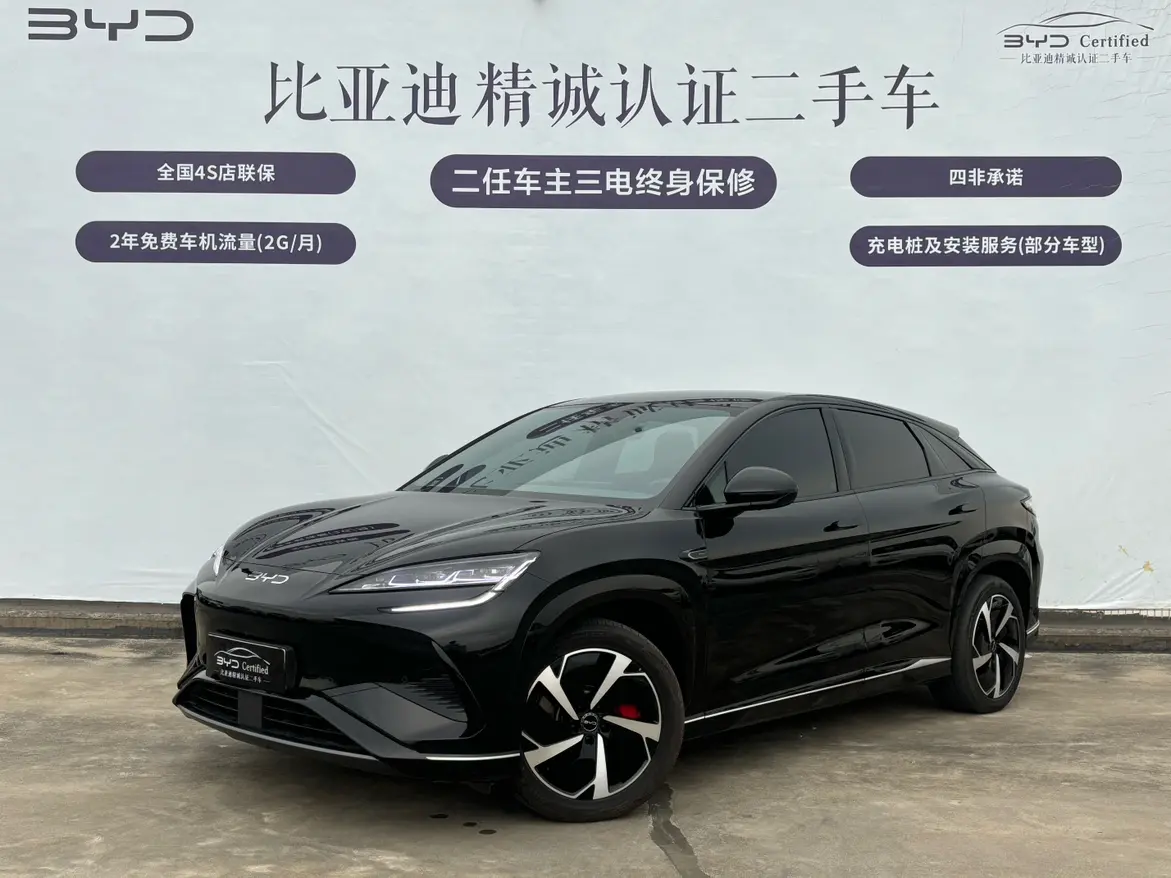 BYD Sea Lion 07EV  из Китая