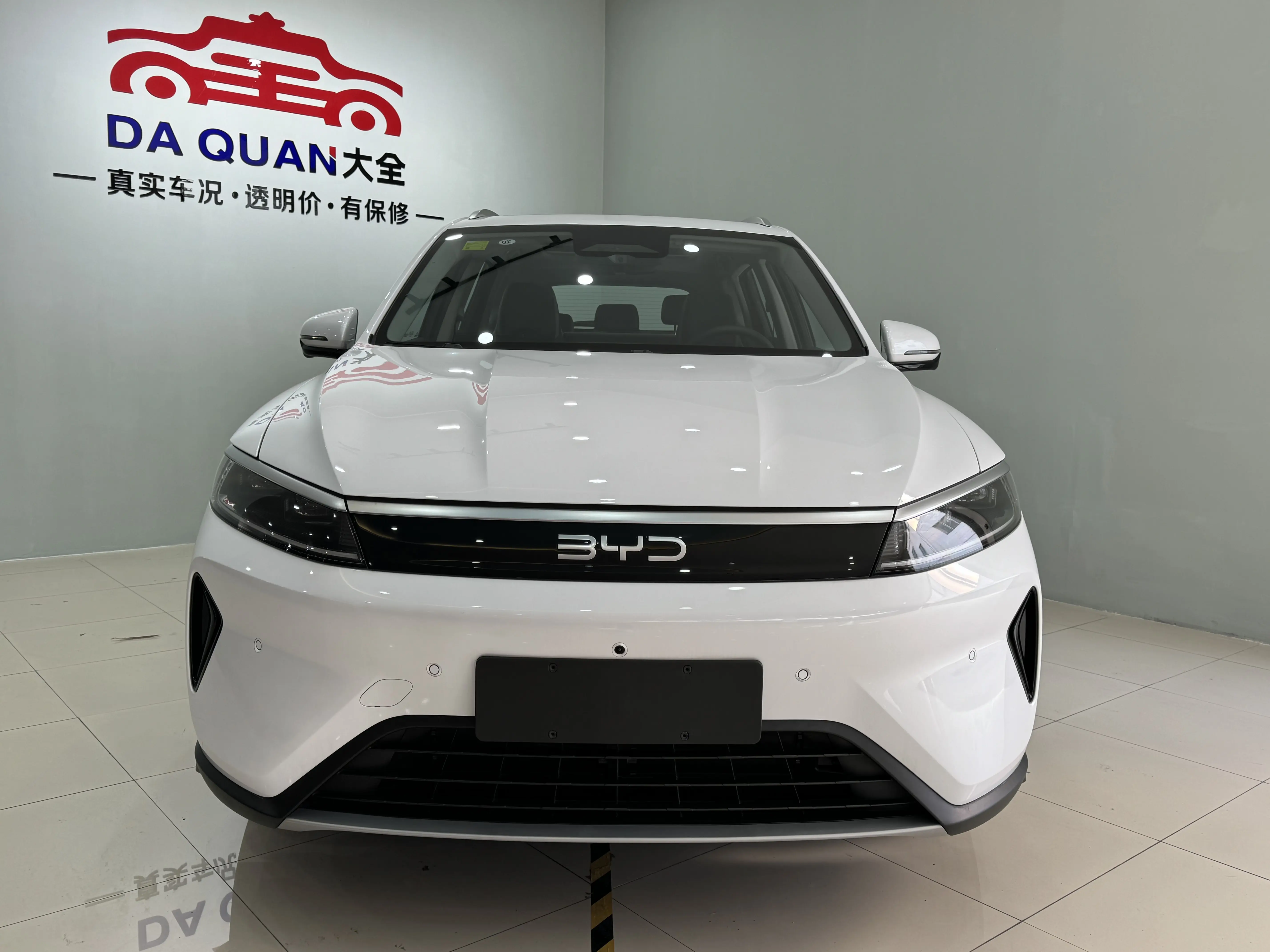 BYD Sea Lion 05DM  из Китая