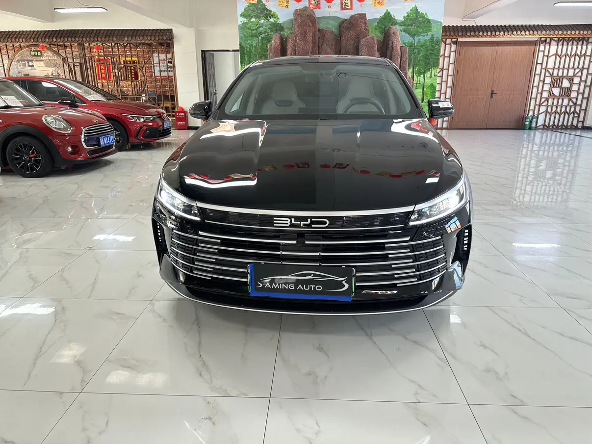 BYD Destroyer 05  из Китая