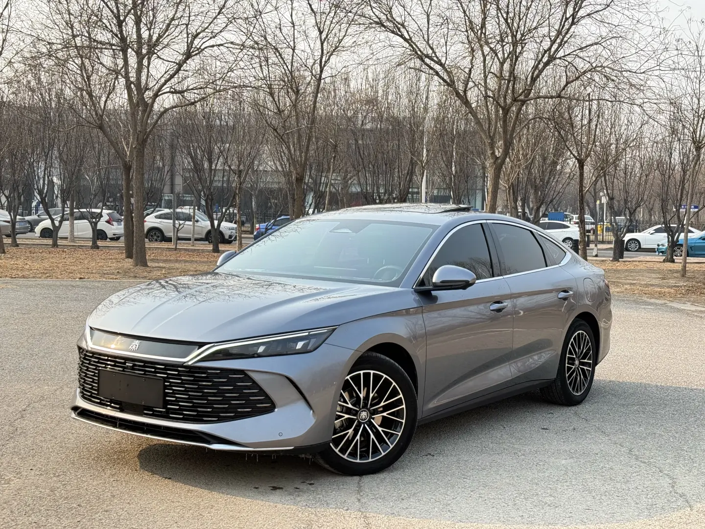 BYD Qin L DM  из Китая