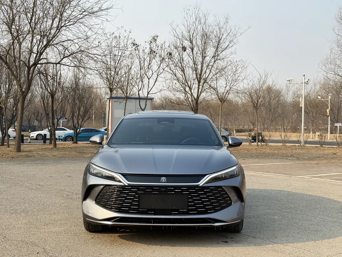 BYD Qin L DM  из Китая