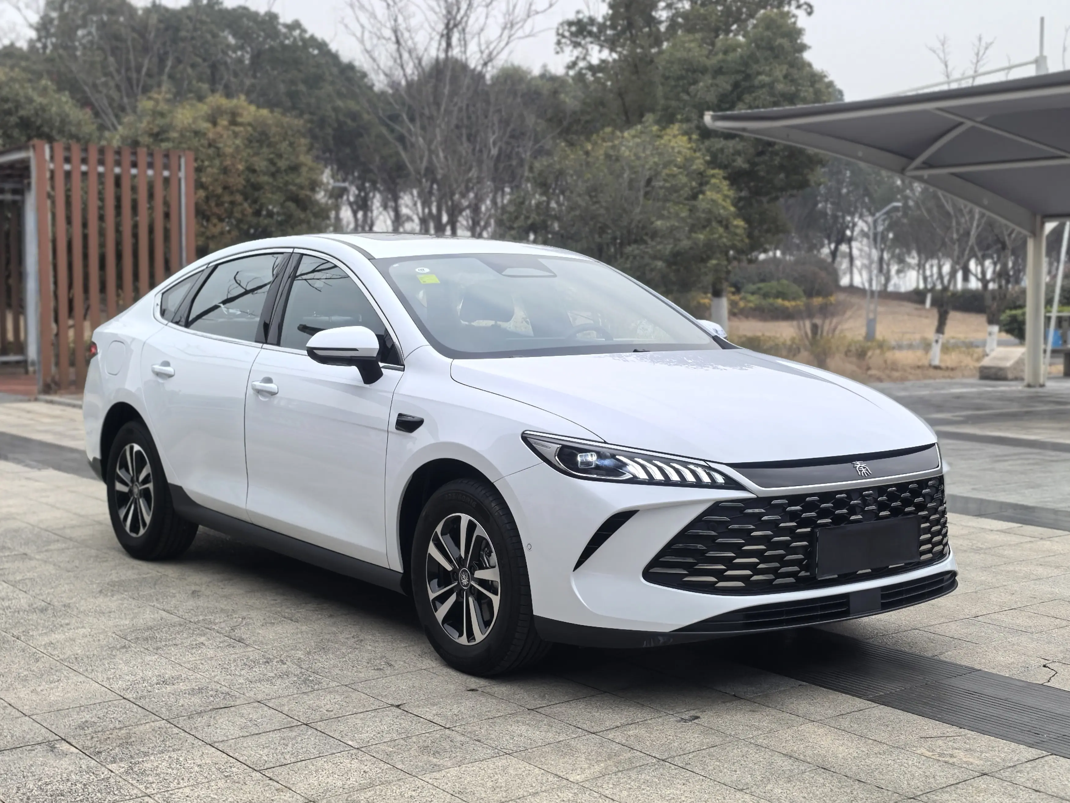 BYD Qin PLUS DM  из Китая