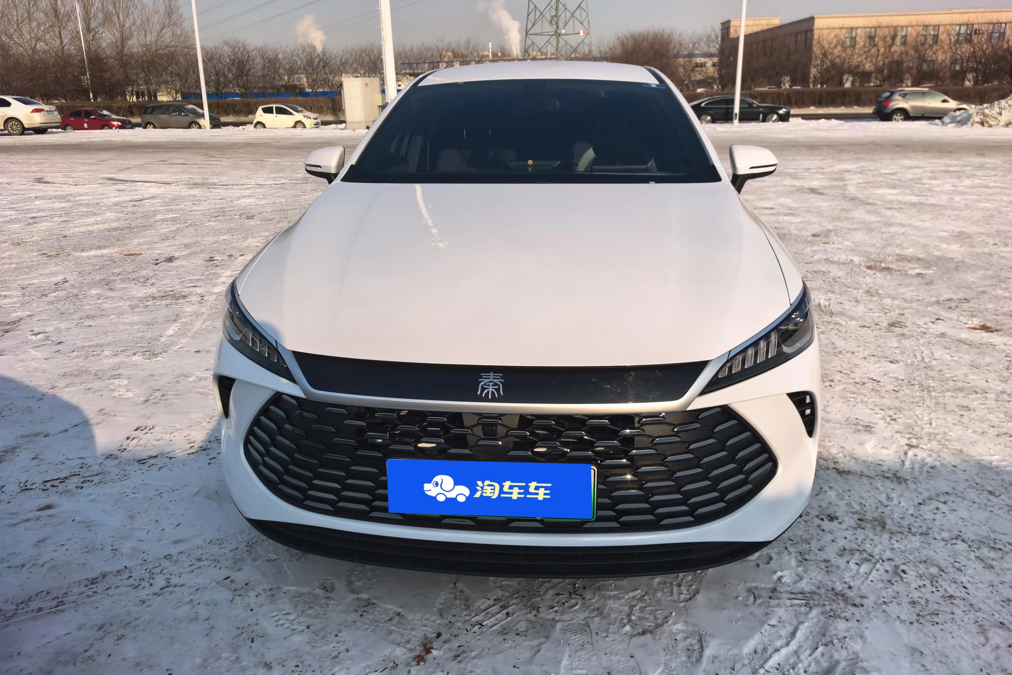 BYD Qin PLUS DM  из Китая