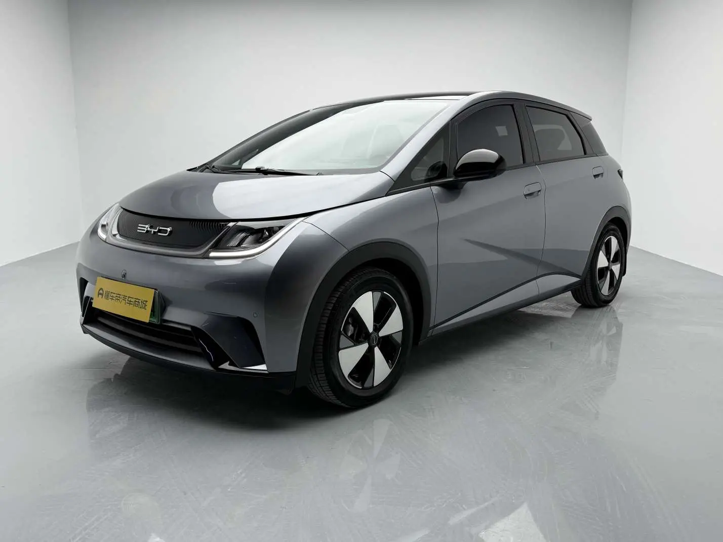 BYD Dolphin  из Китая