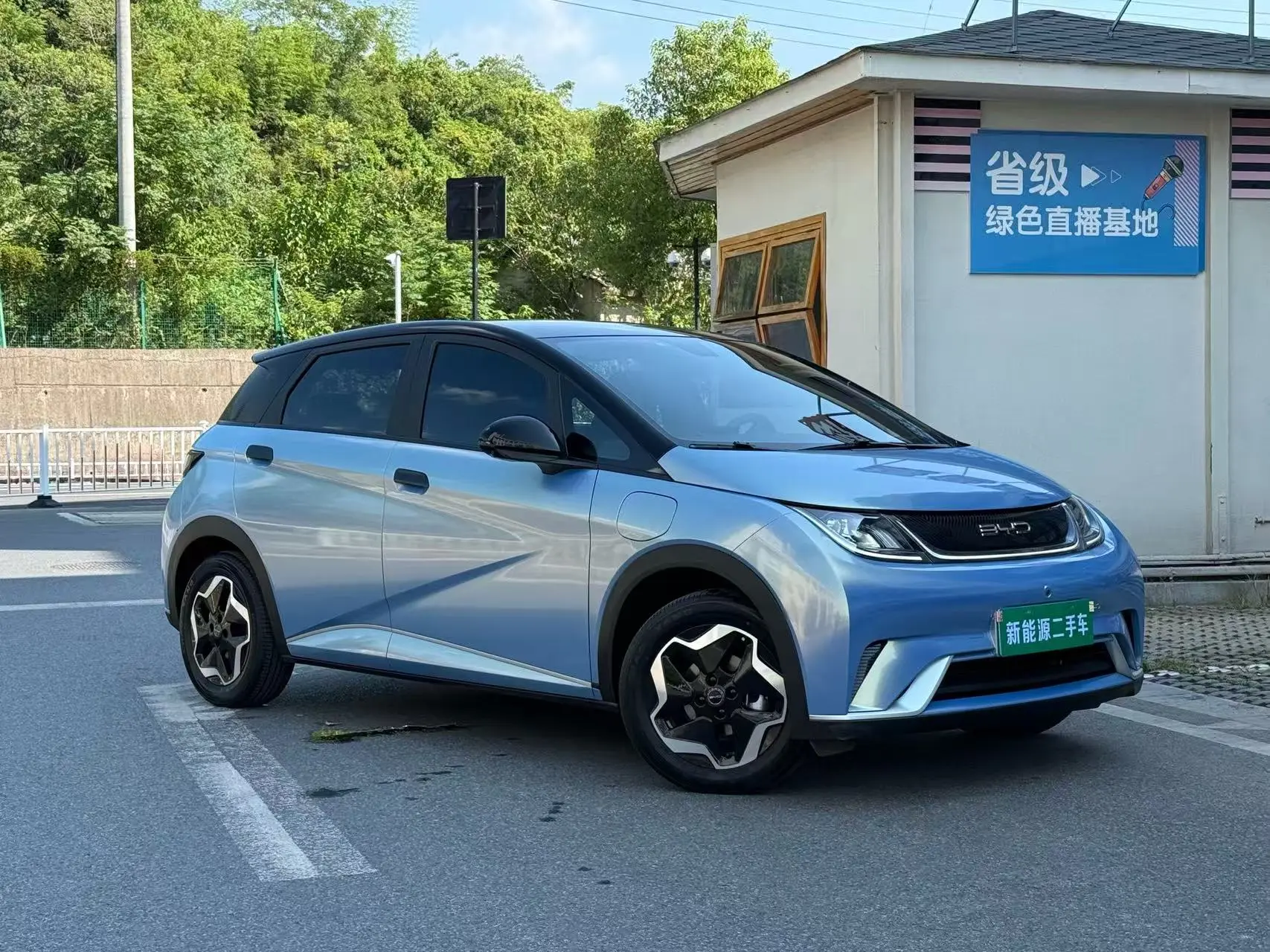 BYD Dolphin  из Китая