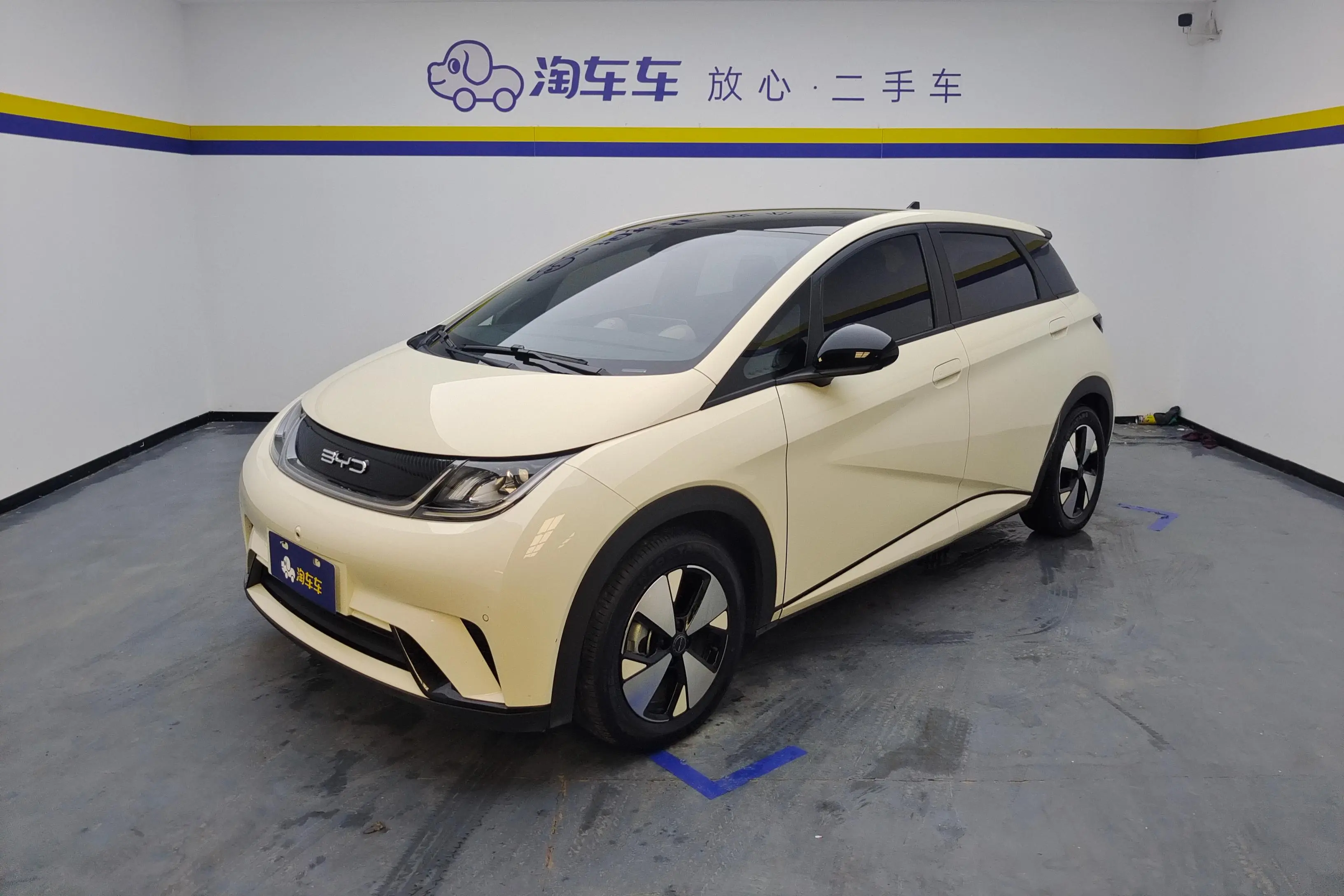 BYD Dolphin  из Китая