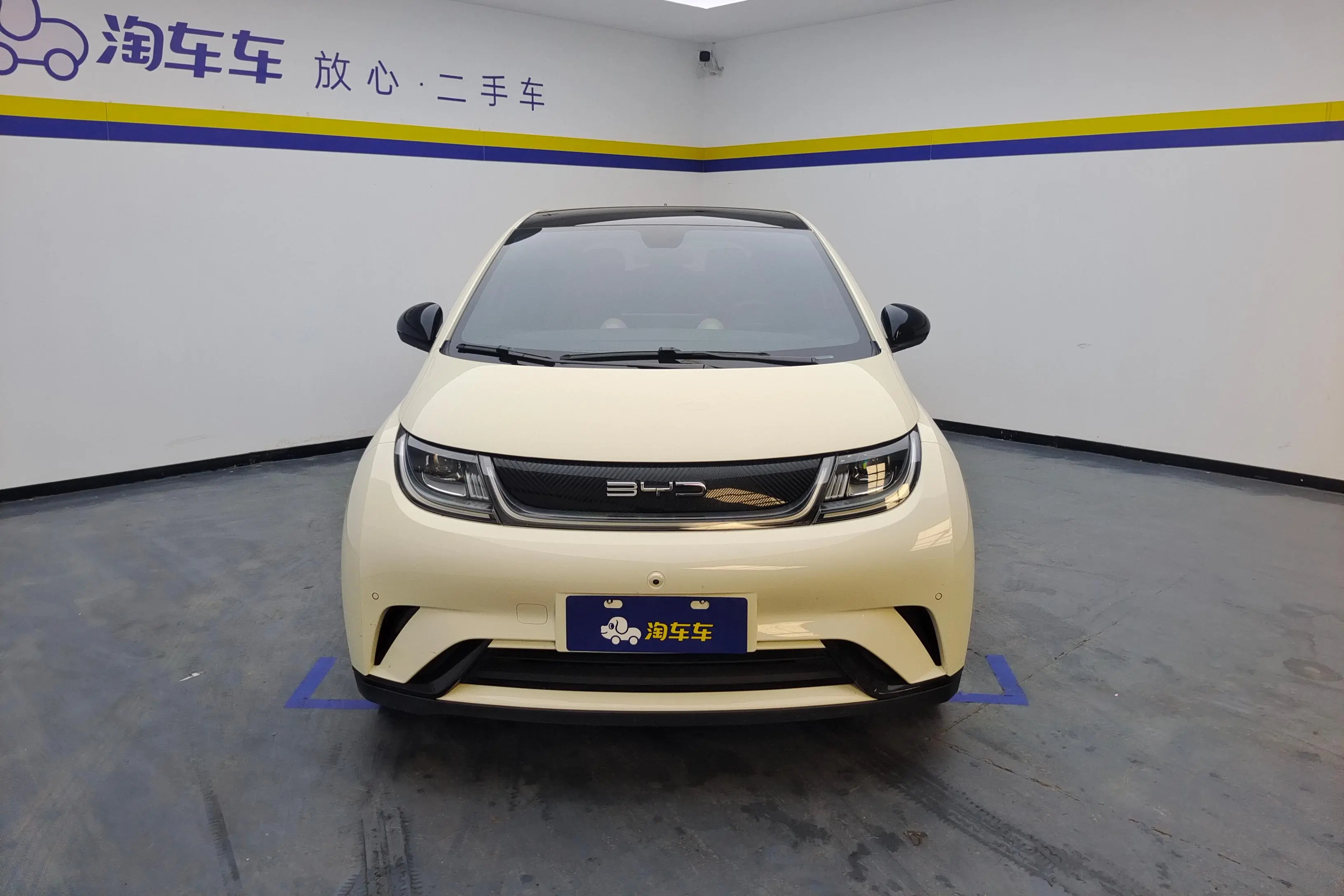 BYD Dolphin  из Китая