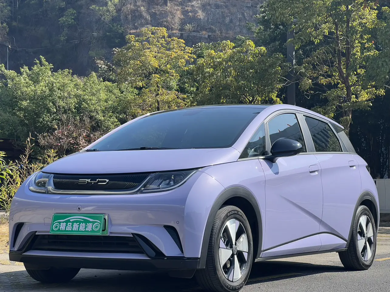 BYD Dolphin  из Китая
