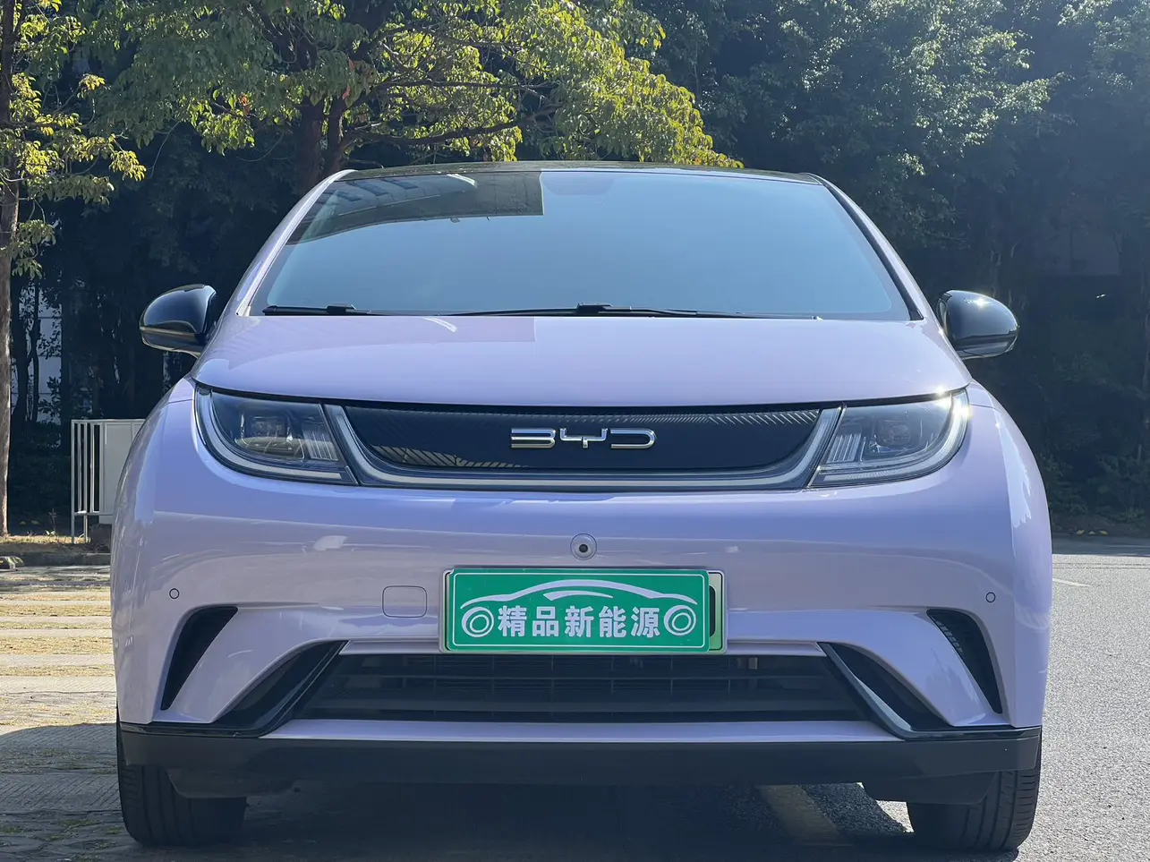 BYD Dolphin  из Китая