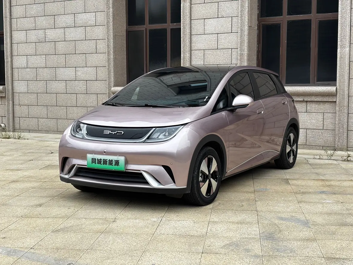 BYD Dolphin  из Китая