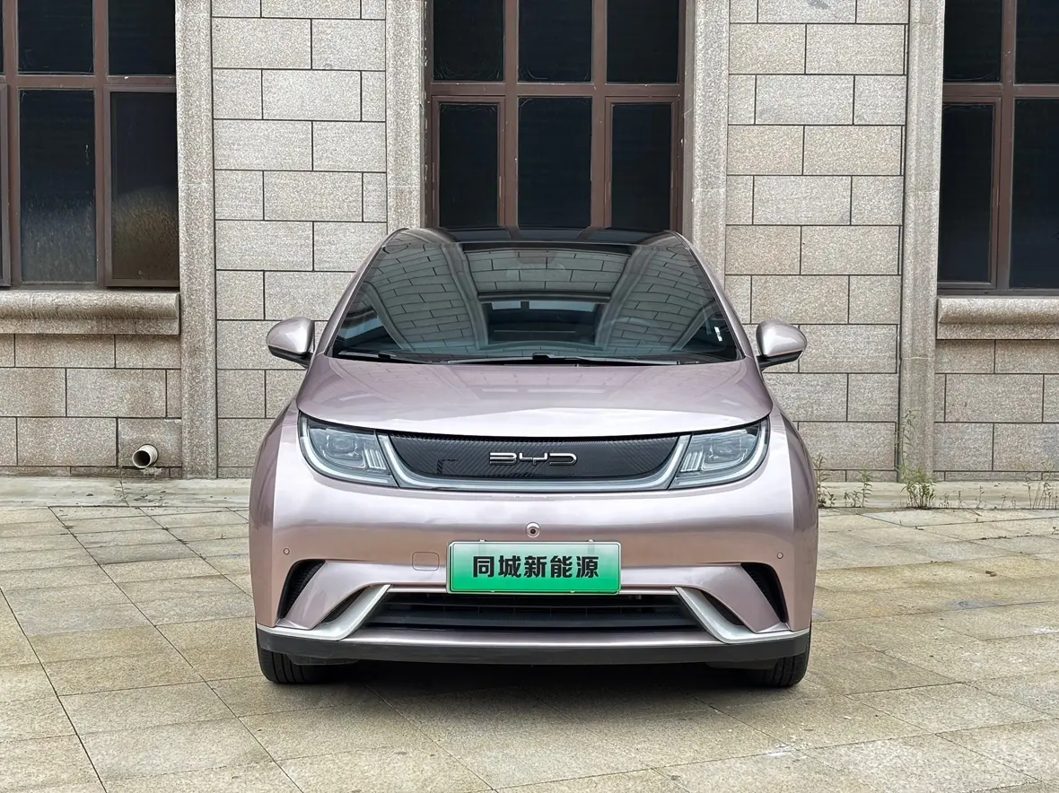 BYD Dolphin  из Китая