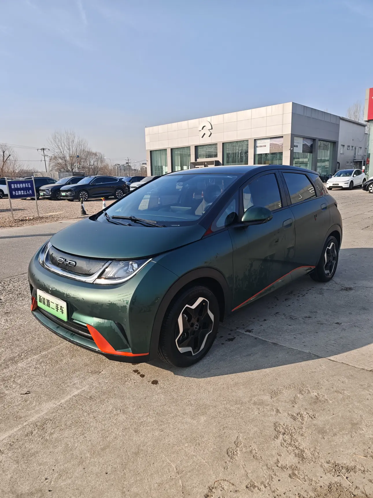 BYD Dolphin  из Китая