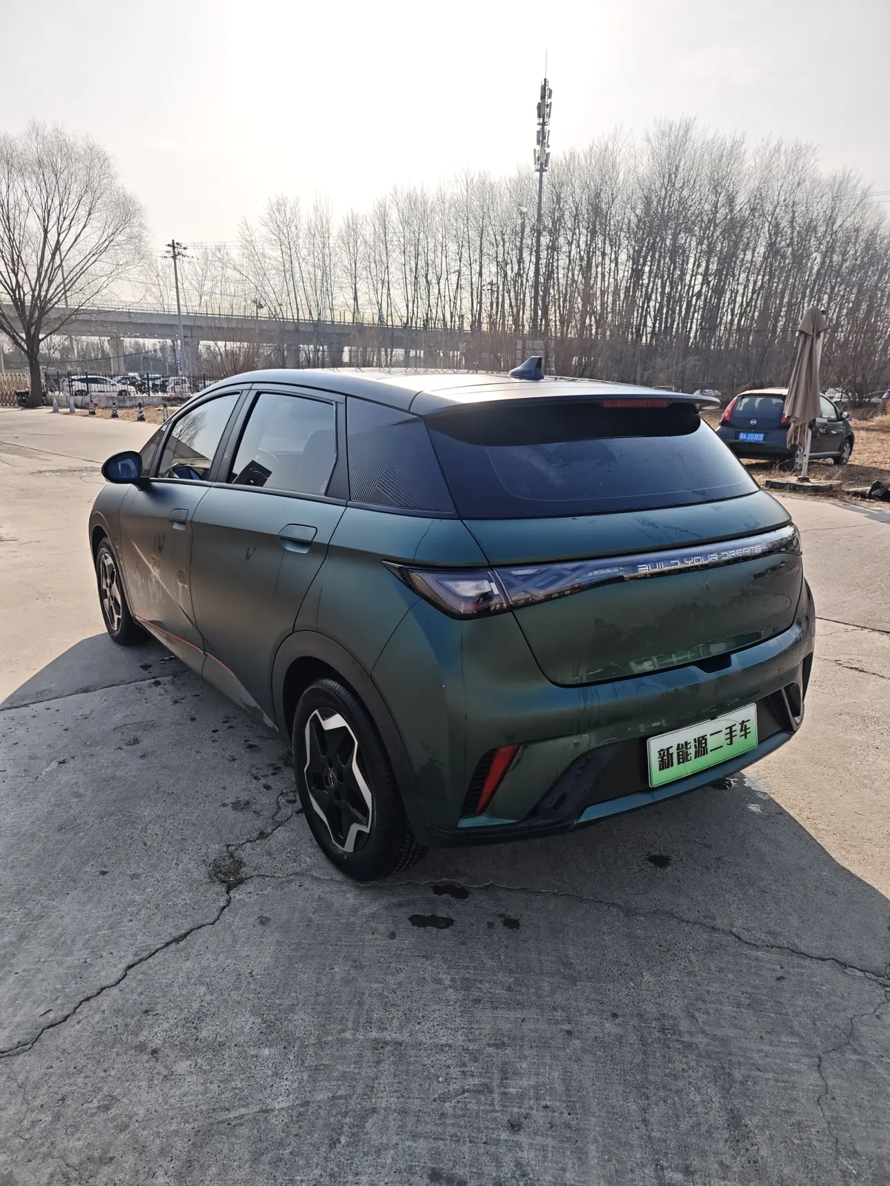 BYD Dolphin  из Китая