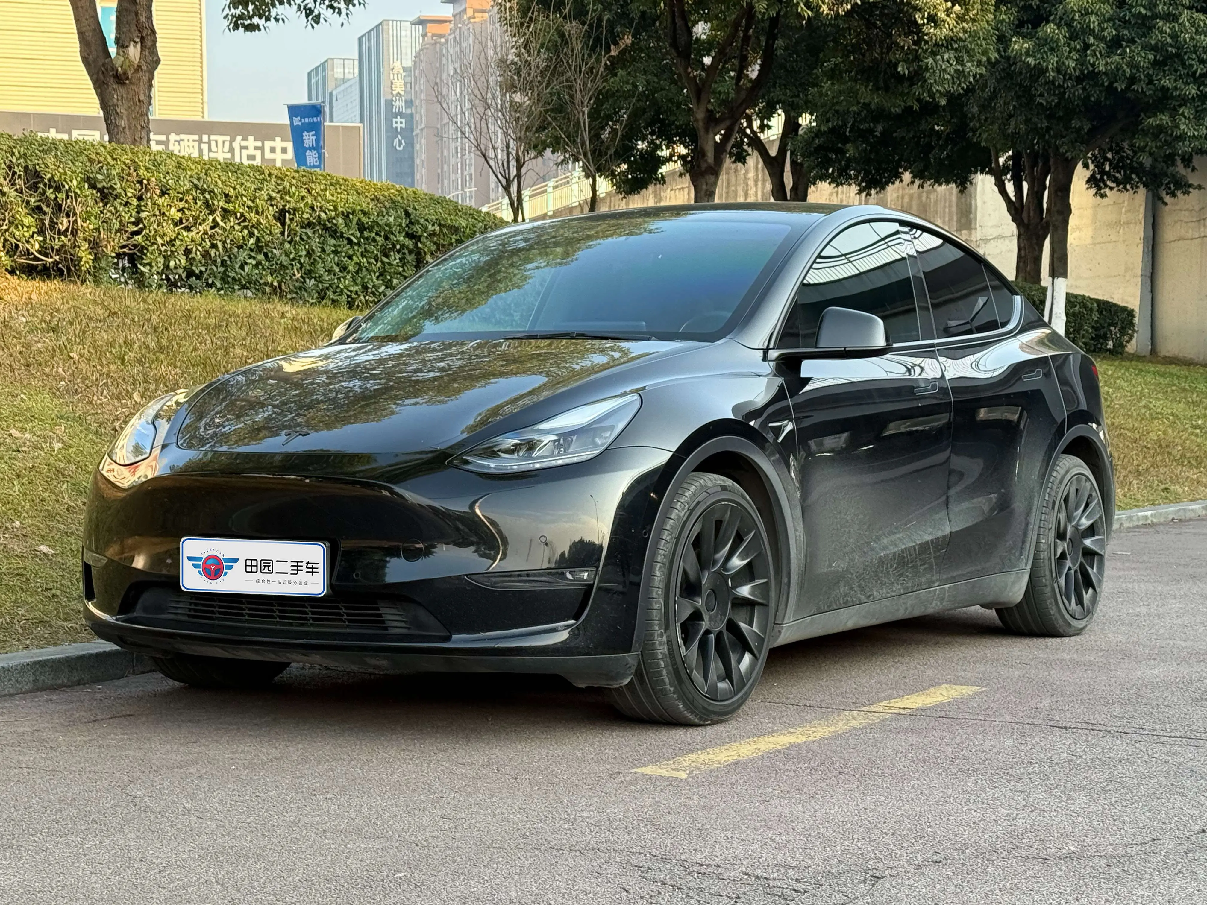 Tesla Model Y  из Китая