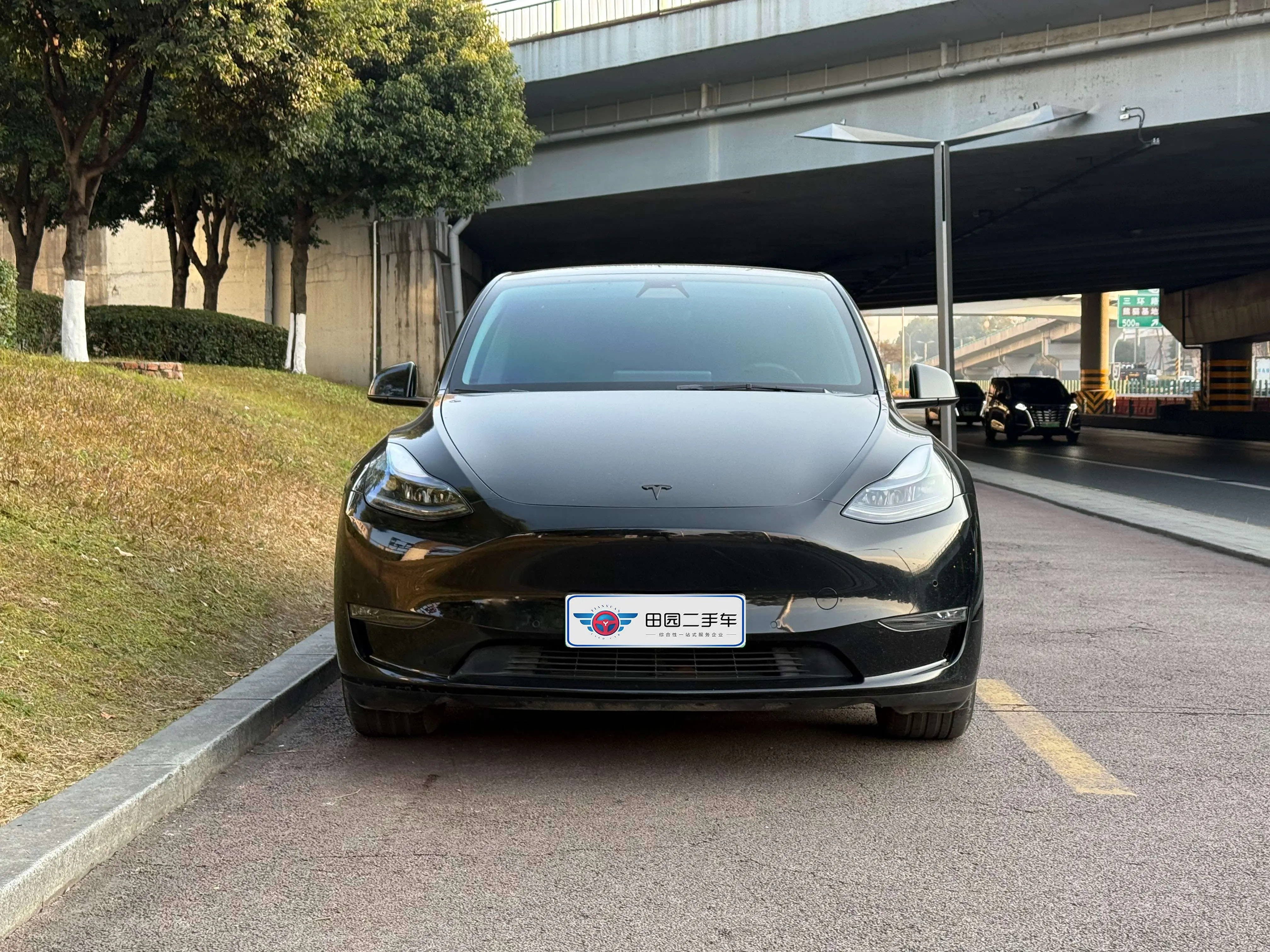Tesla Model Y  из Китая