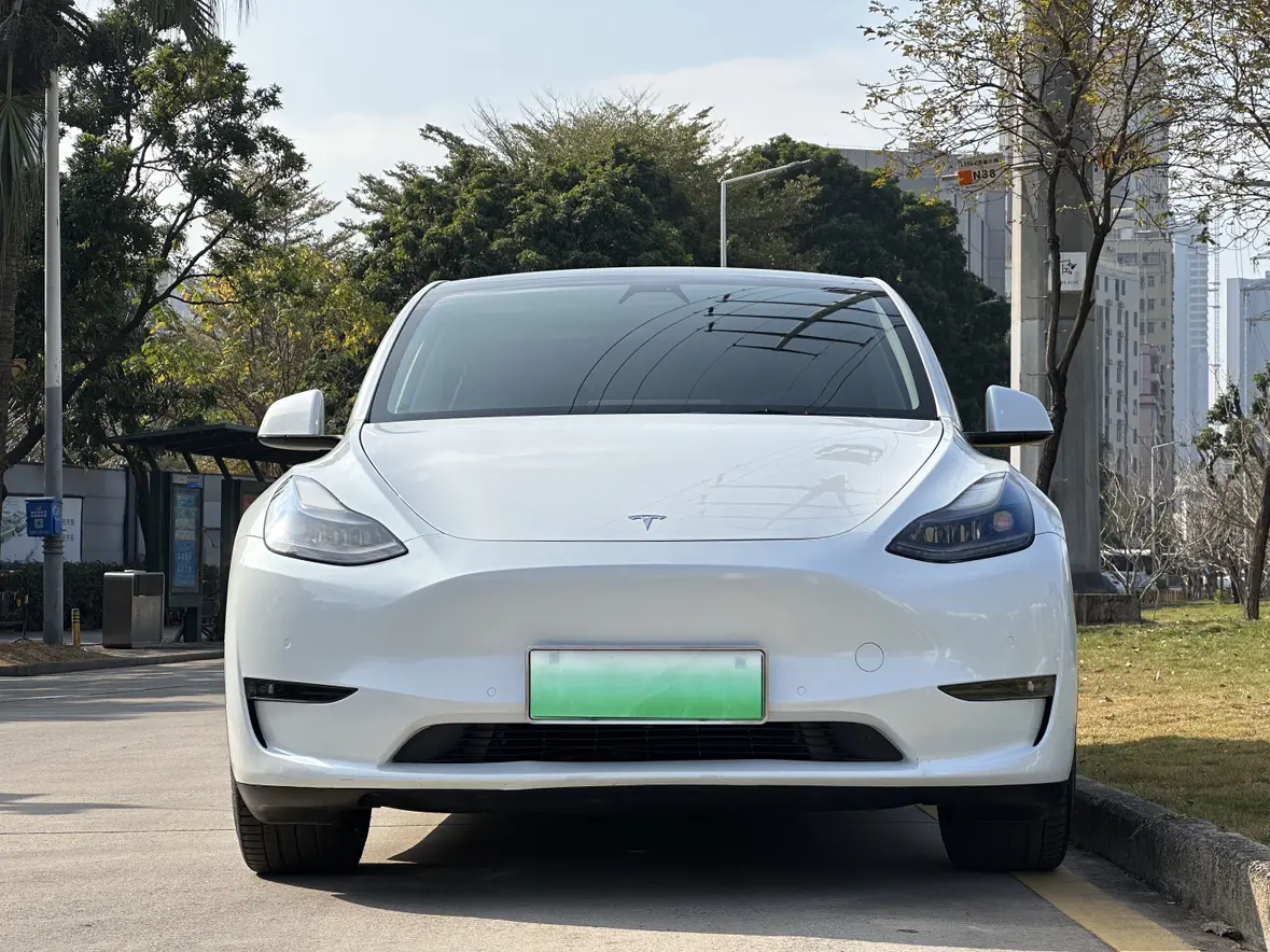 Tesla Model Y  из Китая
