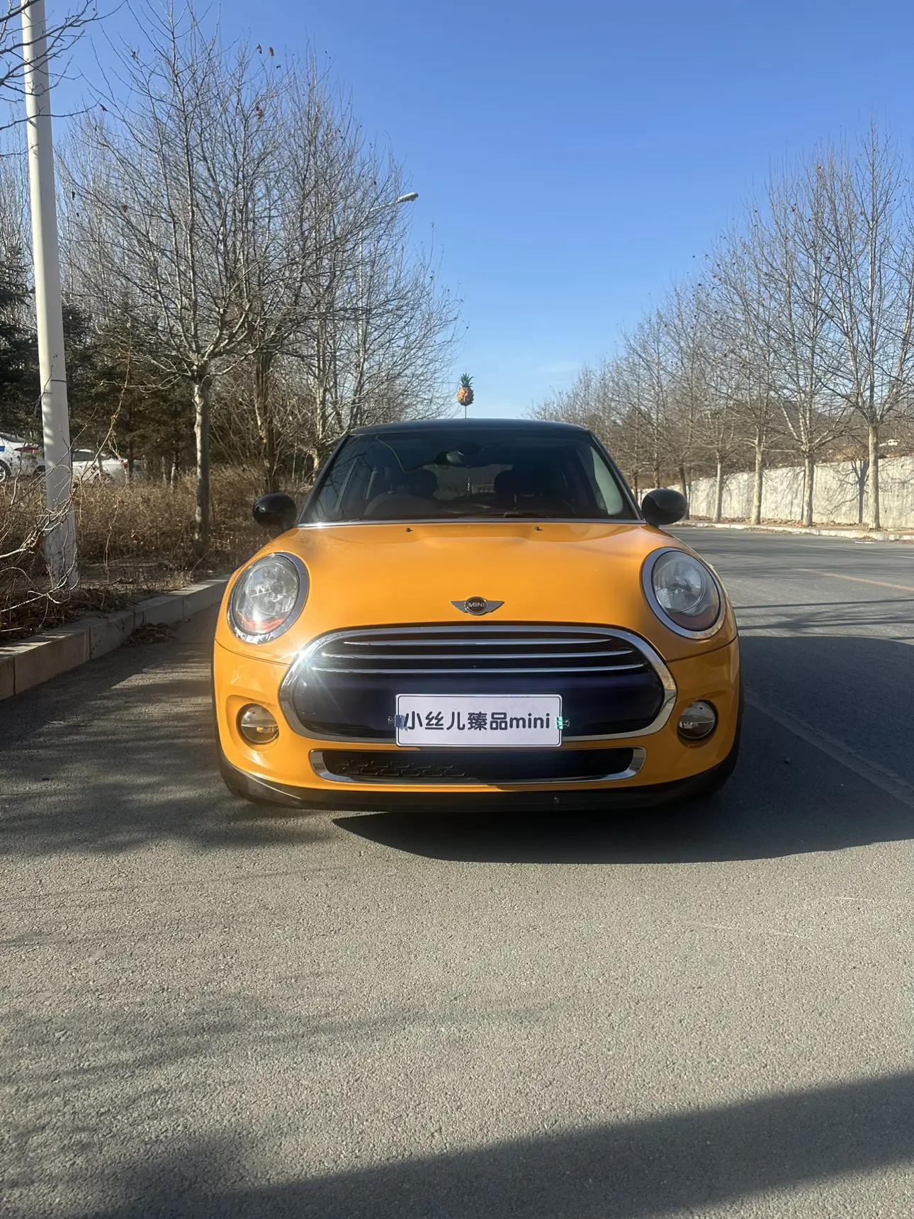 MINI MINI  из Китая