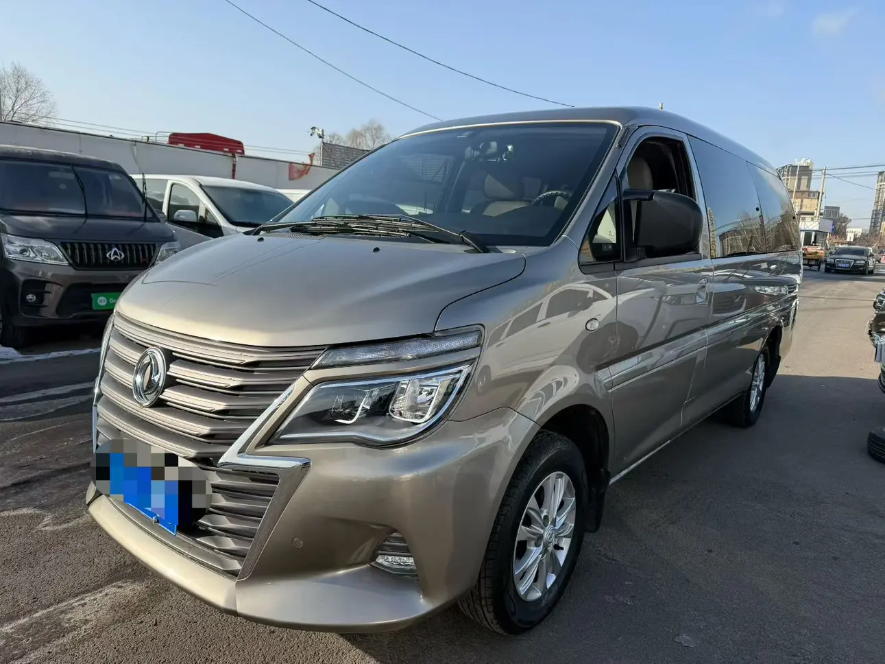 Forthing Lingzhi  из Китая