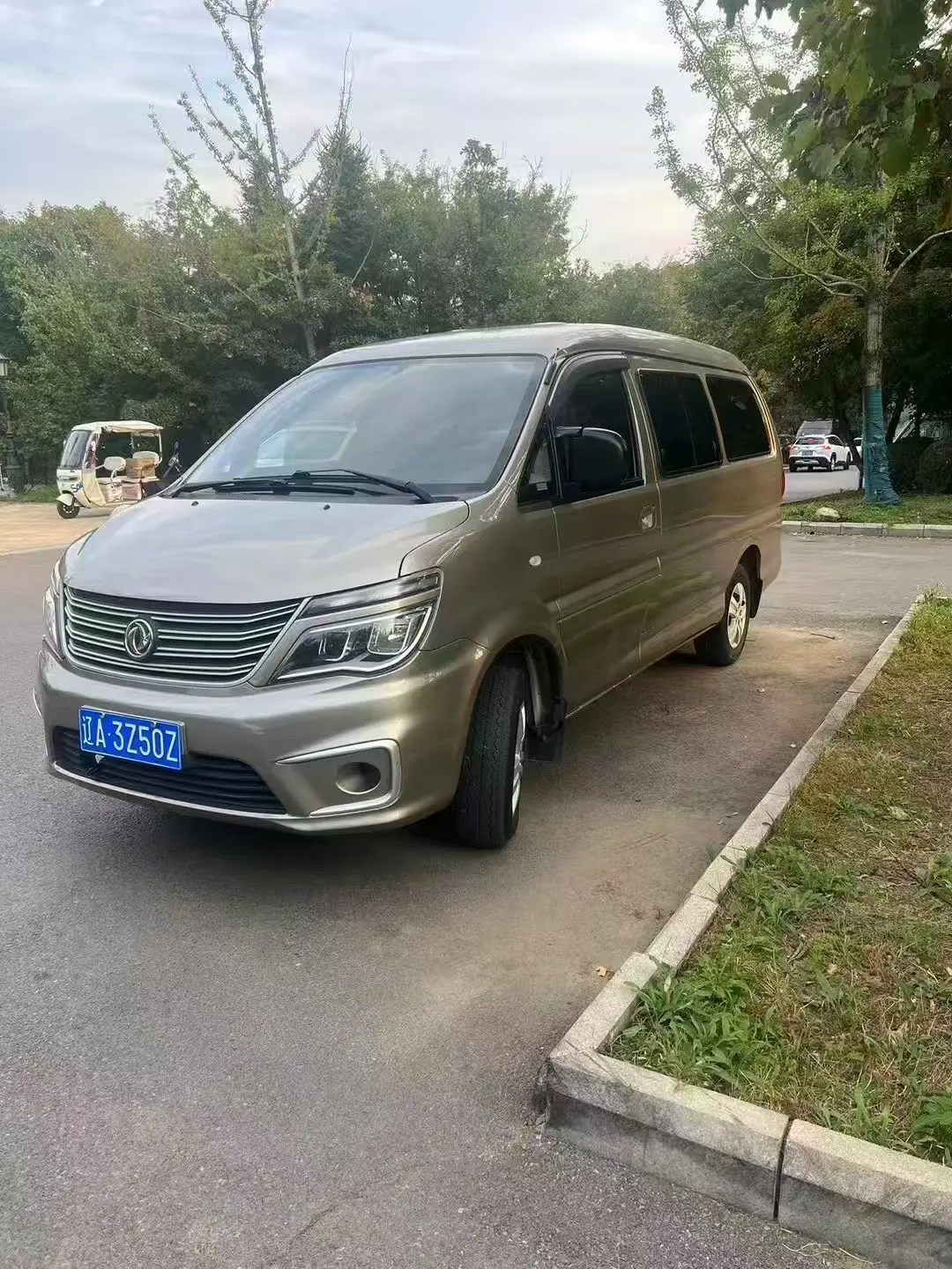 Forthing Lingzhi  из Китая