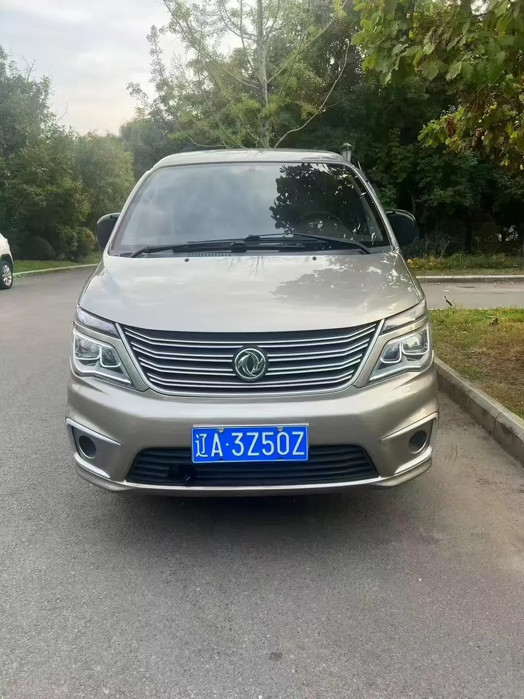 Forthing Lingzhi  из Китая