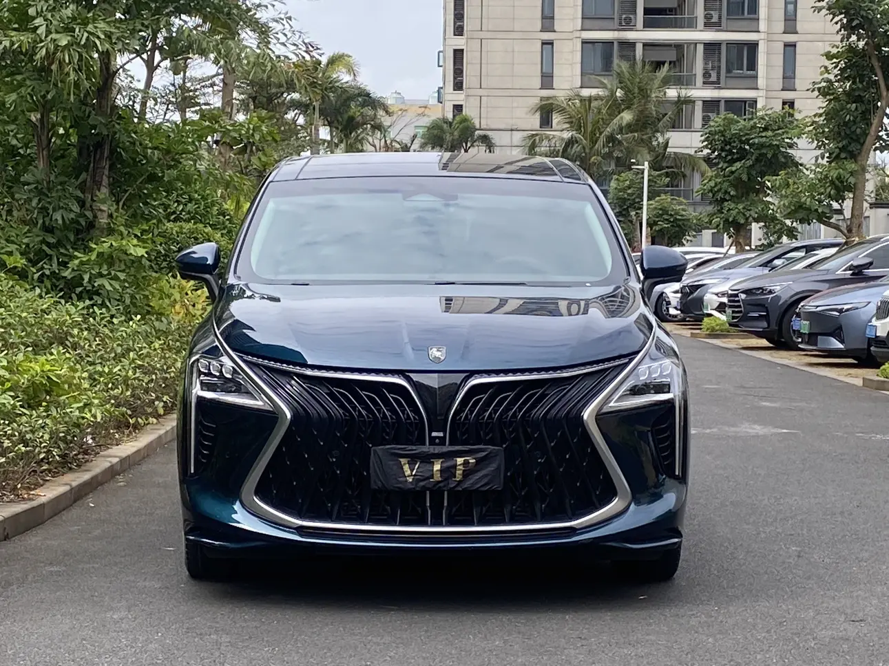 Forthing Popular yacht  из Китая