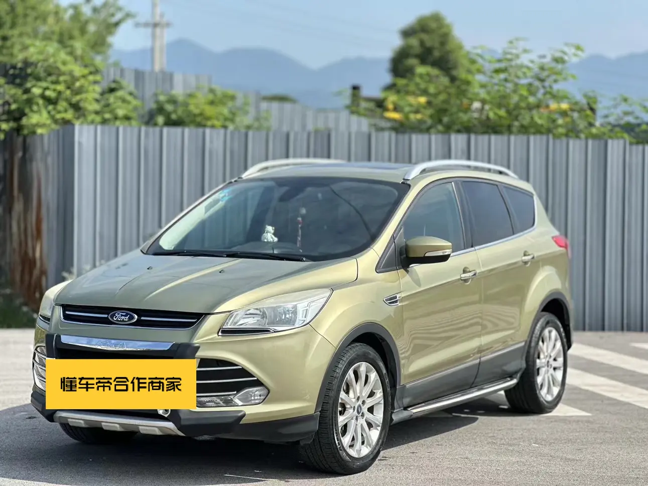 Ford Wing tiger  из Китая