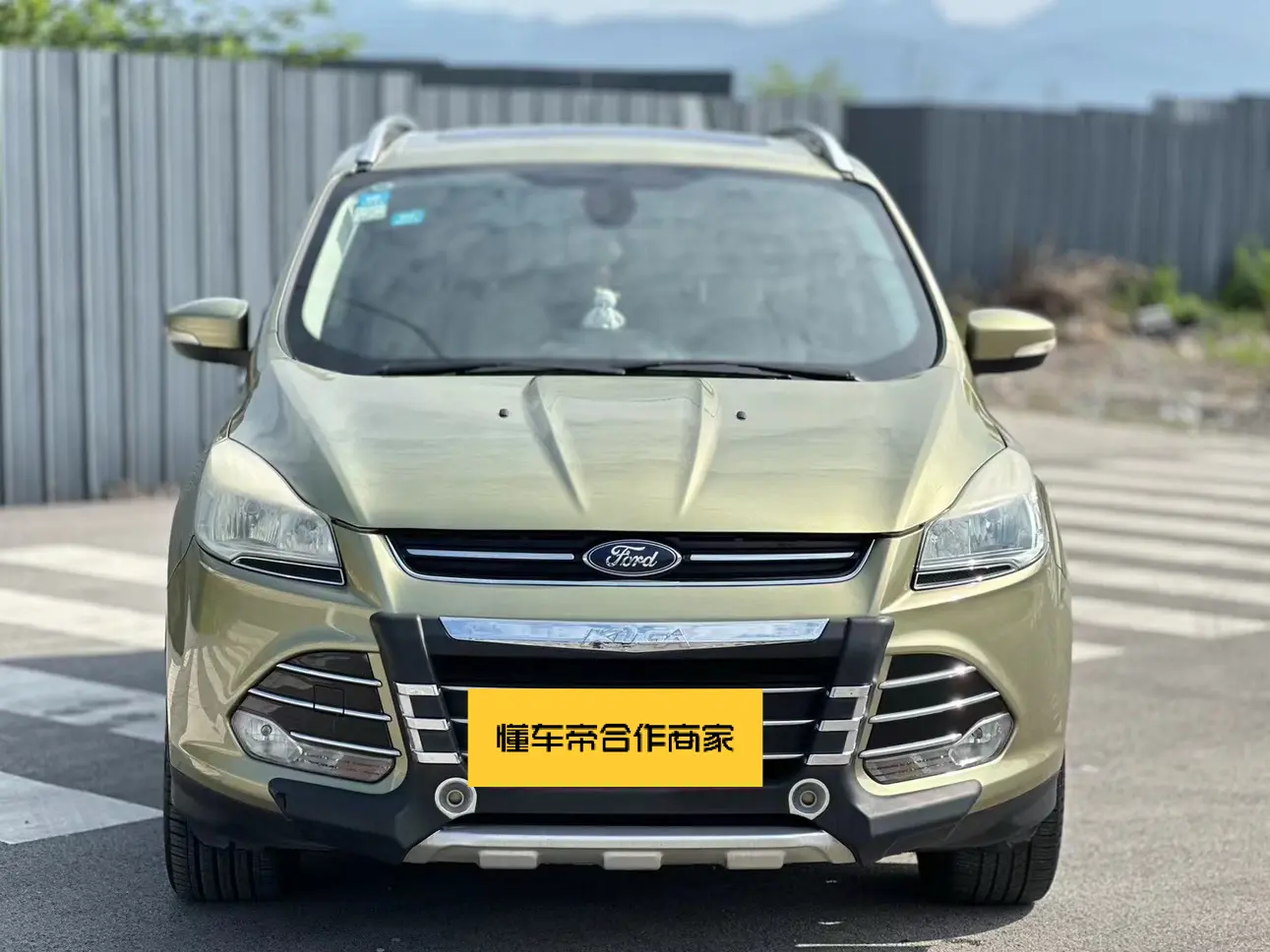 Ford Wing tiger  из Китая