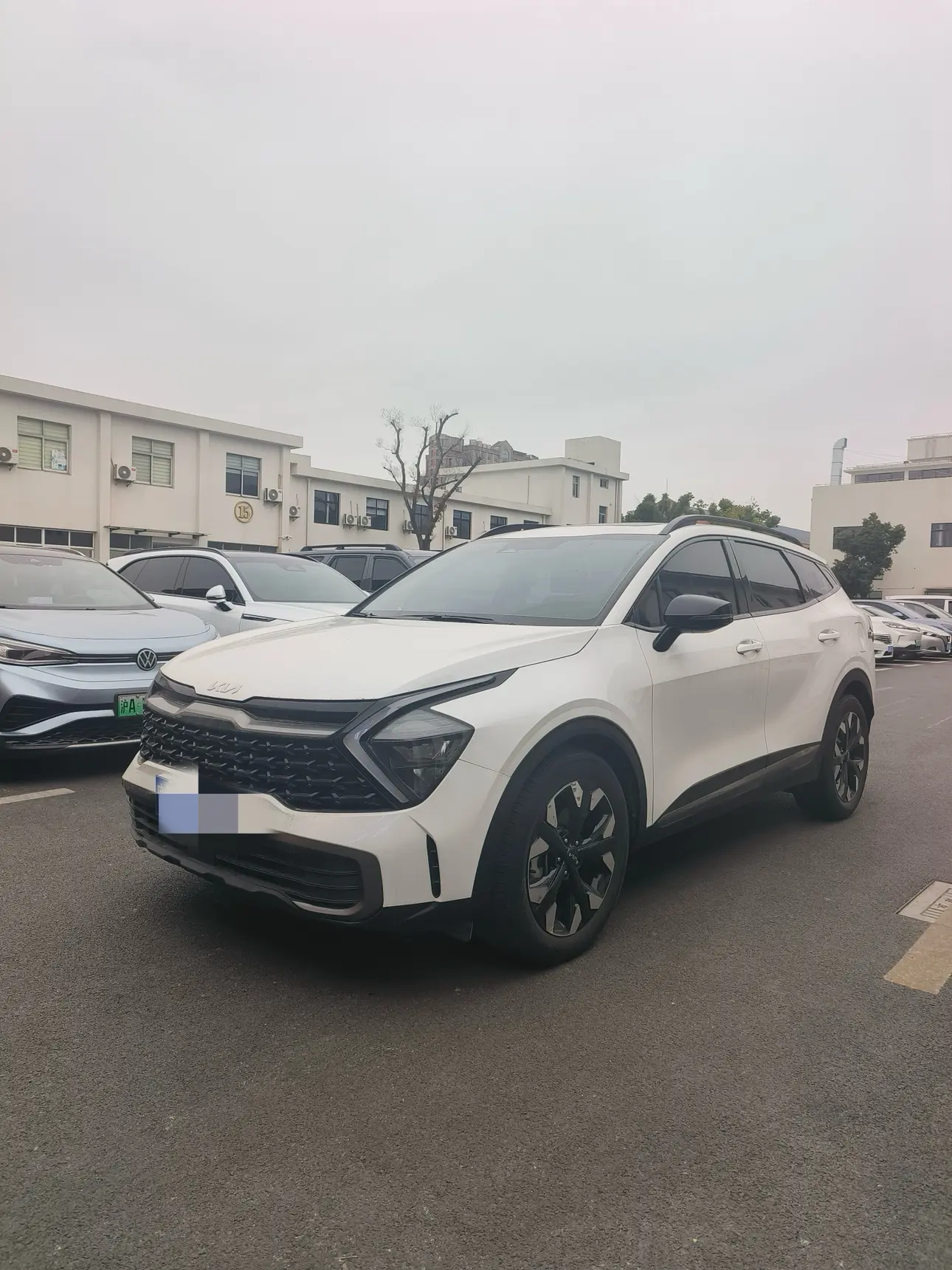 Kia Lion Platinum Expands the Boundary  из Китая