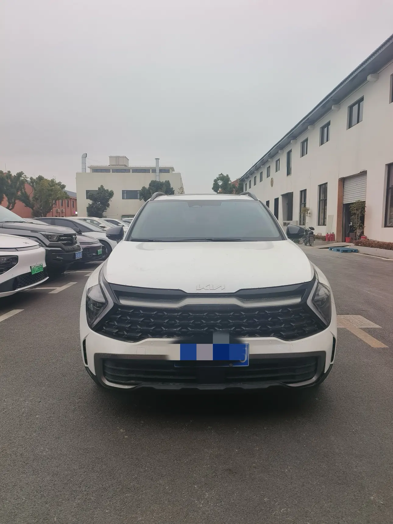 Kia Lion Platinum Expands the Boundary  из Китая