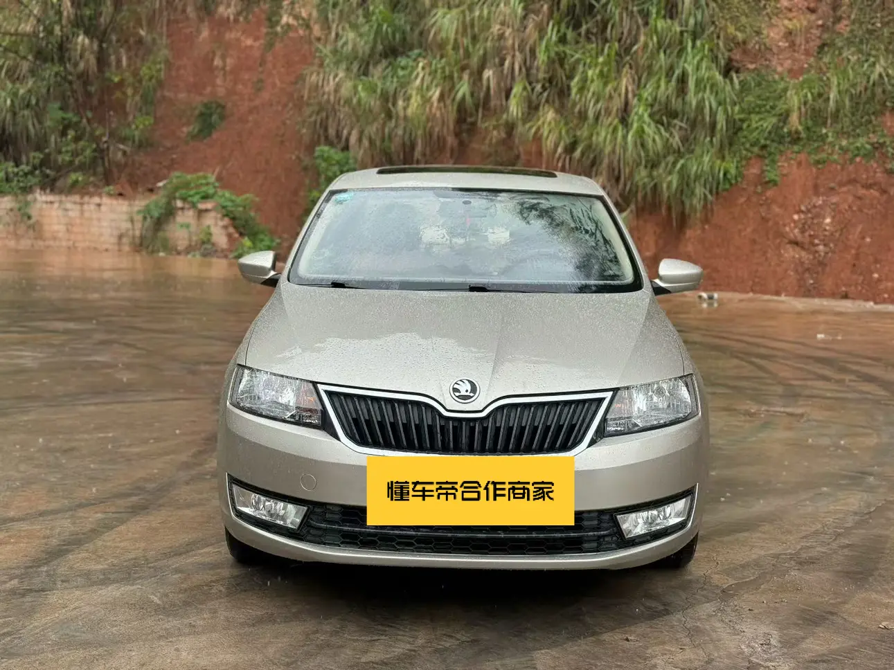 Skoda Xin Rui  из Китая