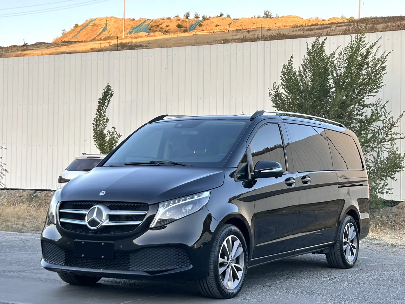 Mercedes-Benz Mercedes Benz V Class  из Китая