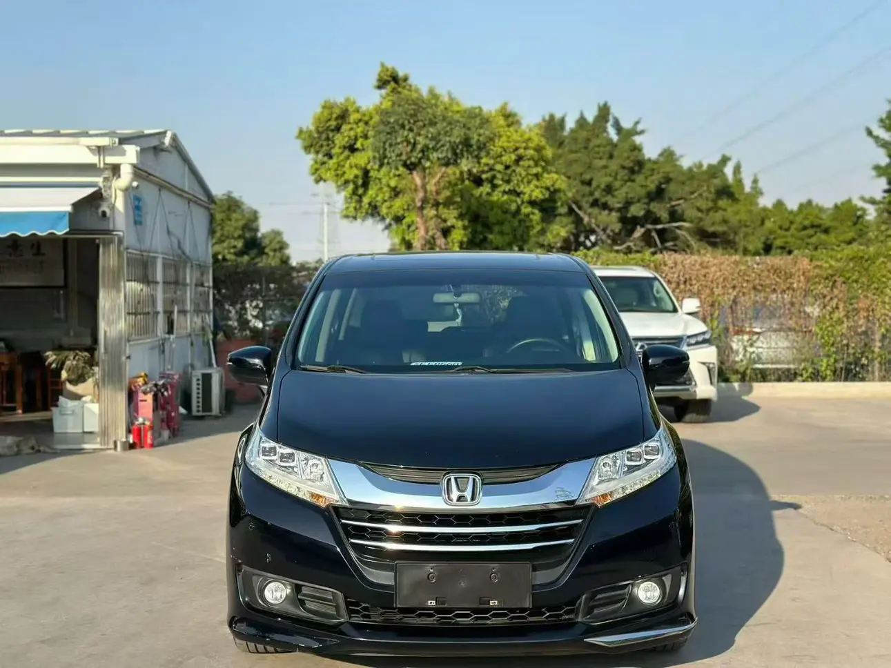 Honda Odyssey  из Китая