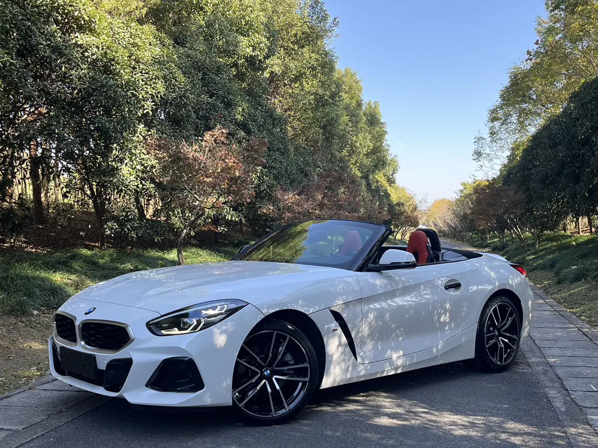 BMW Z4  из Китая