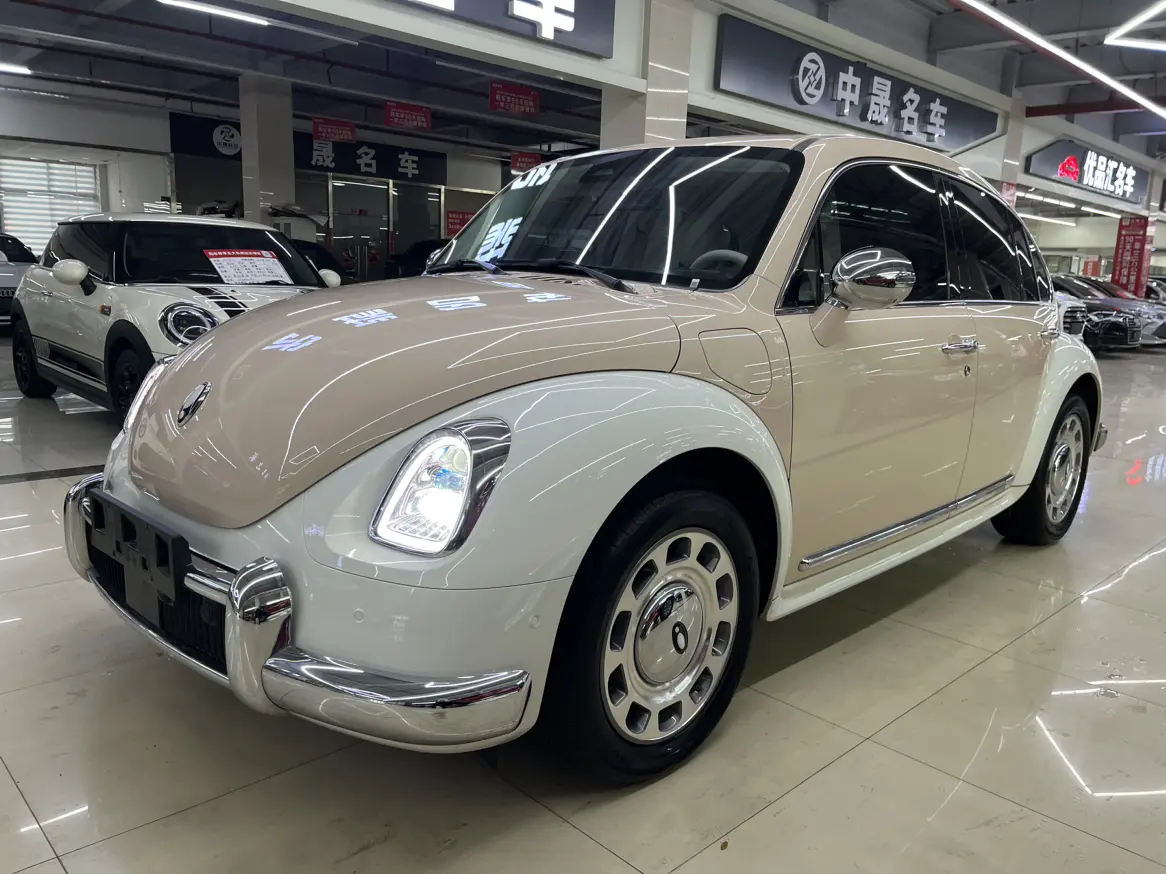 ORA Euler ballet cat  из Китая