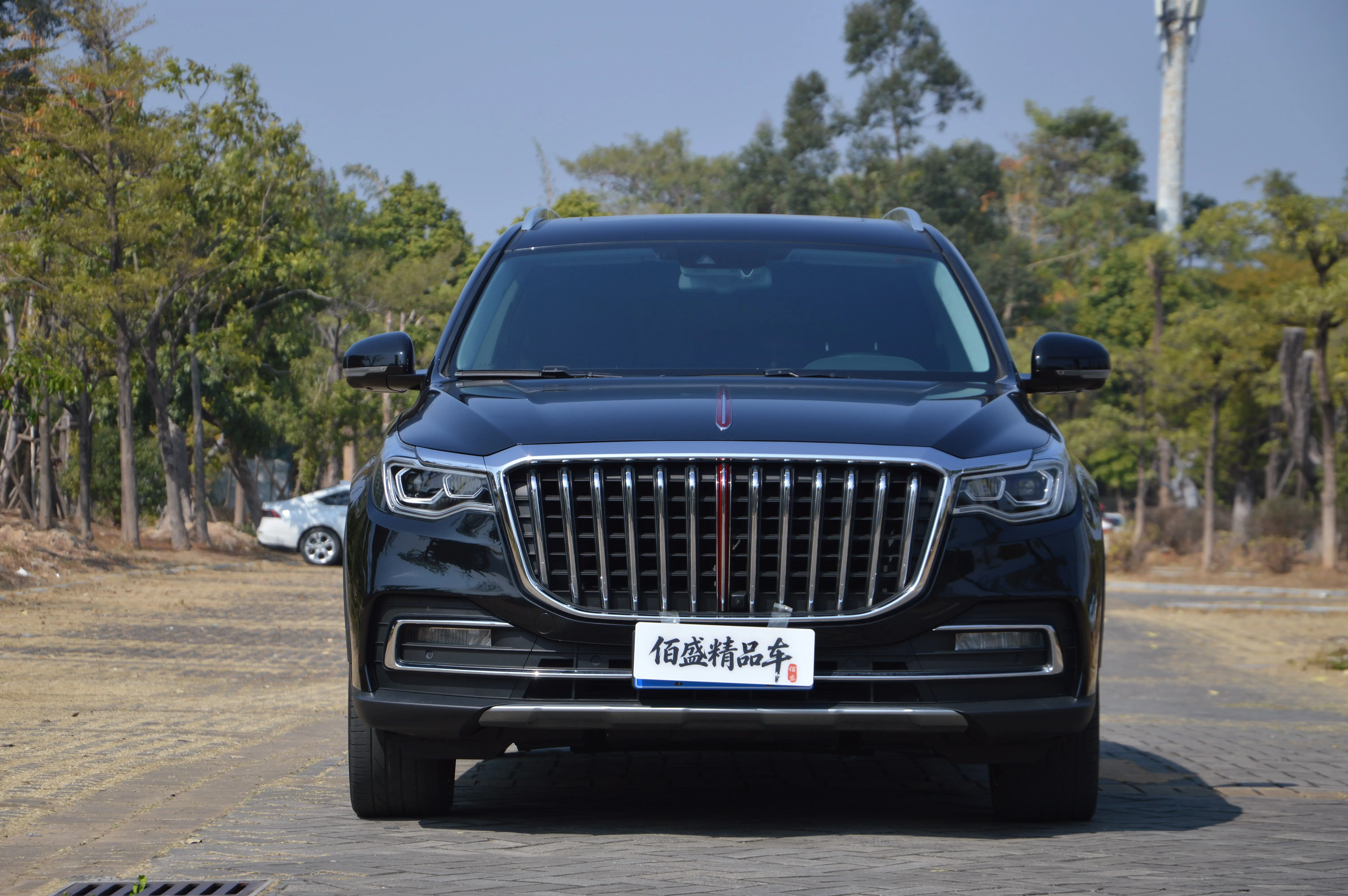 Hongqi HS7  из Китая