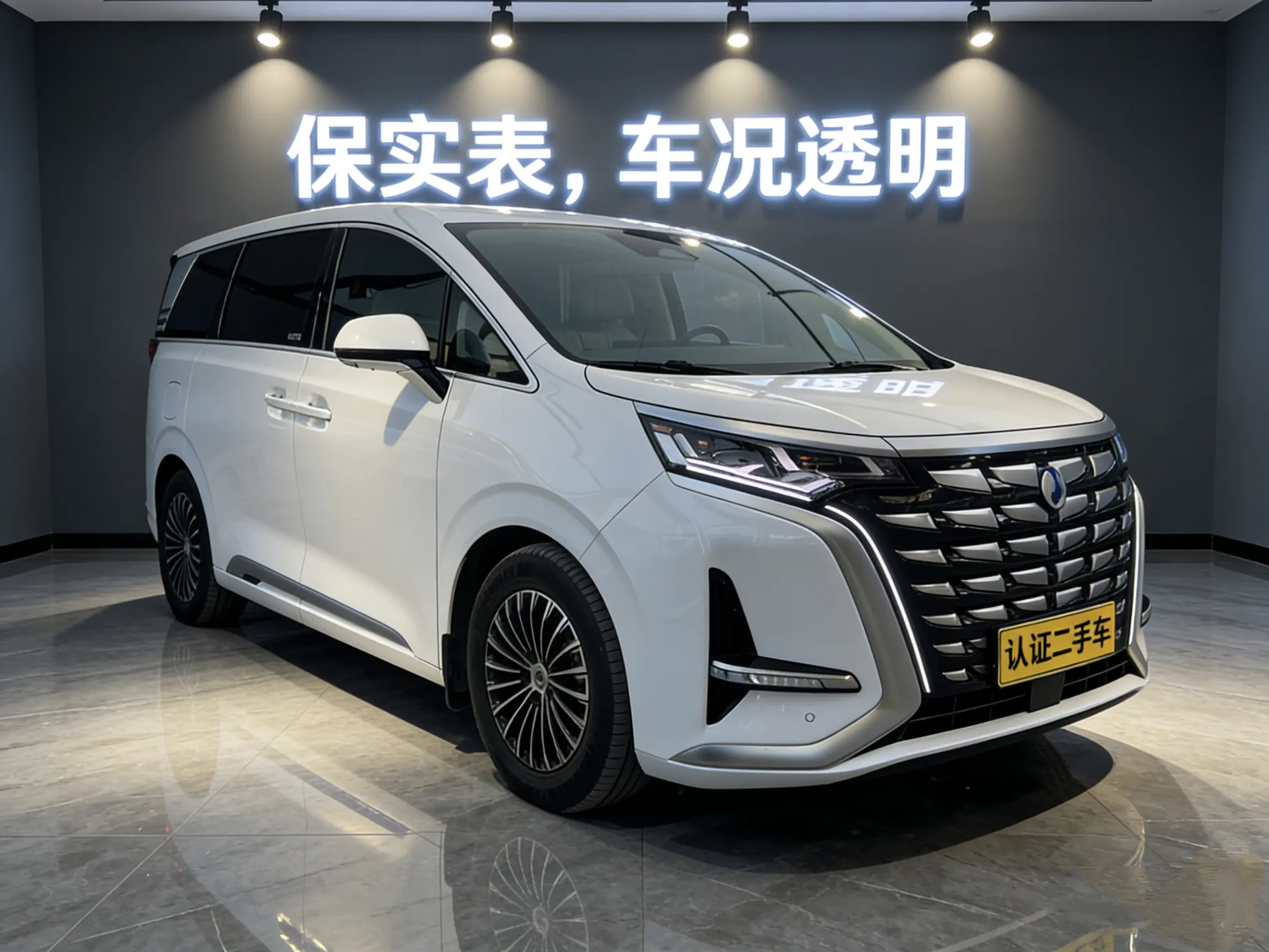 Denza D9 DM  из Китая