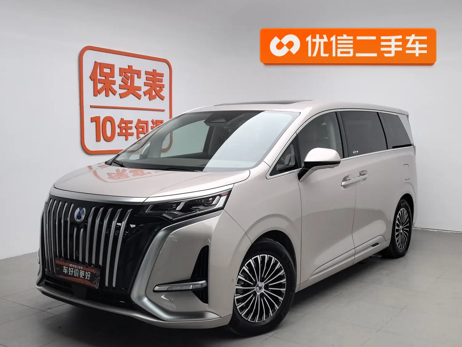 Denza D9 EV  из Китая