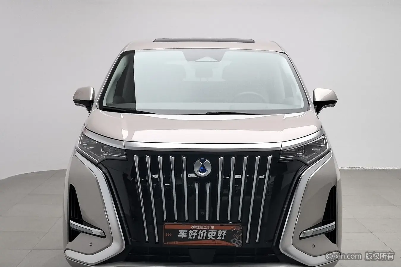 Denza D9 EV  из Китая