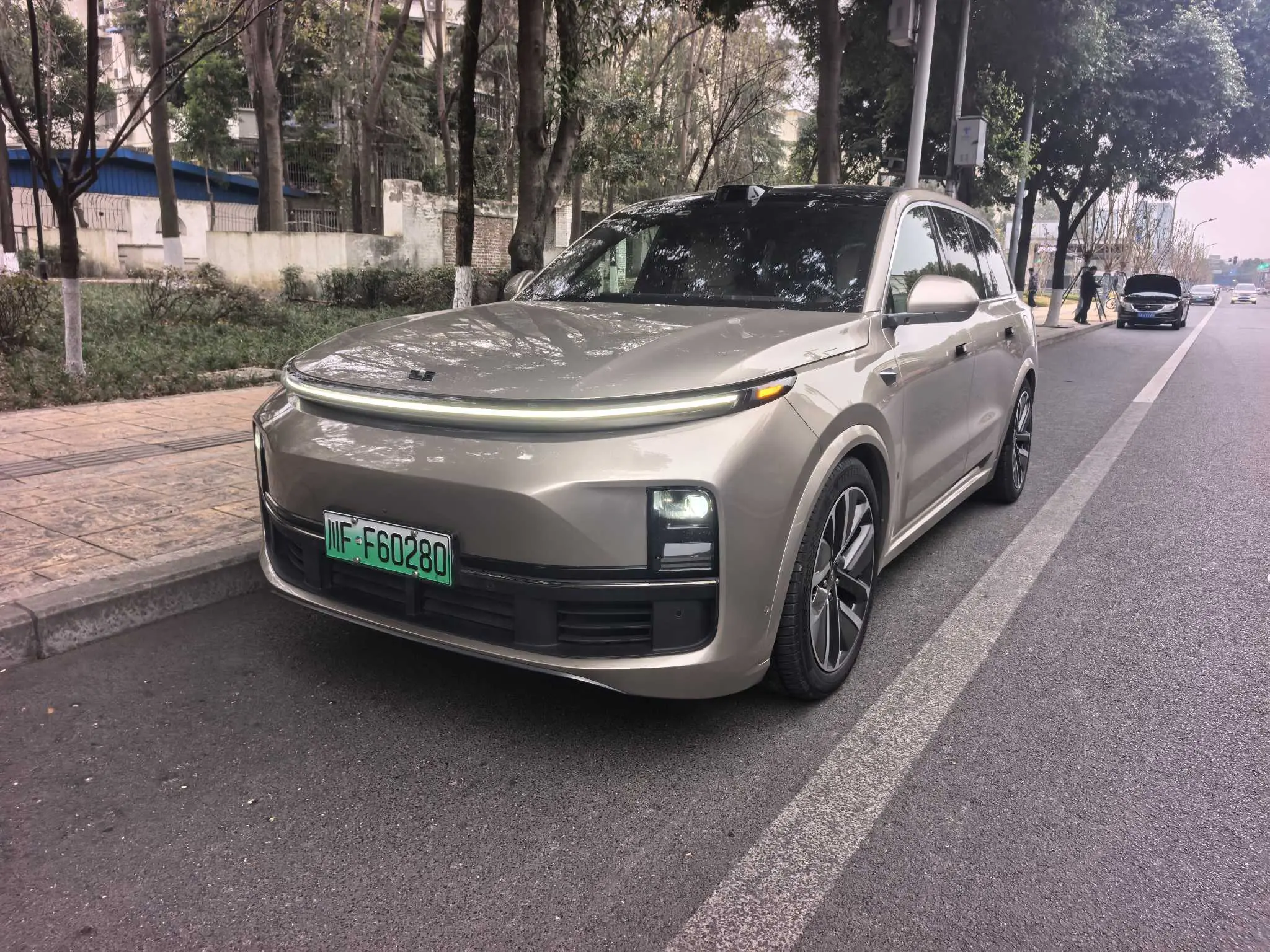 Li L9 (Ideal L9)  из Китая