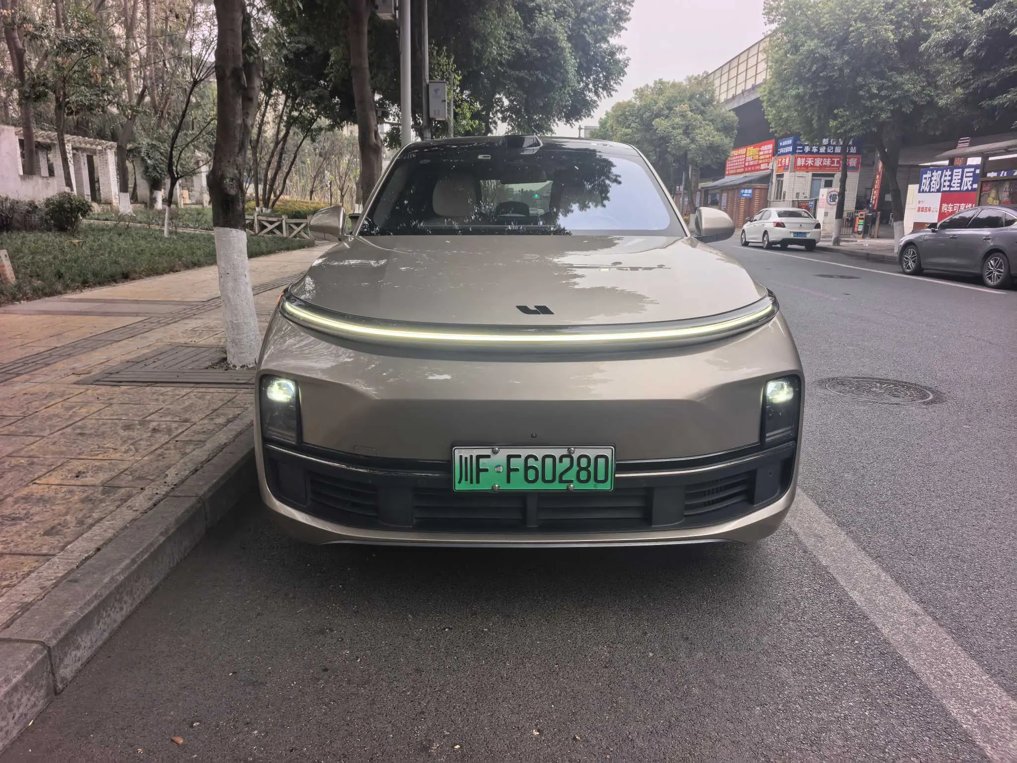 Li L9 (Ideal L9)  из Китая