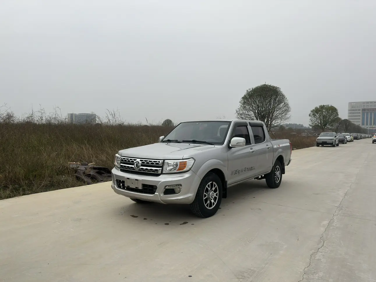 Dongfeng Ruiqi  из Китая