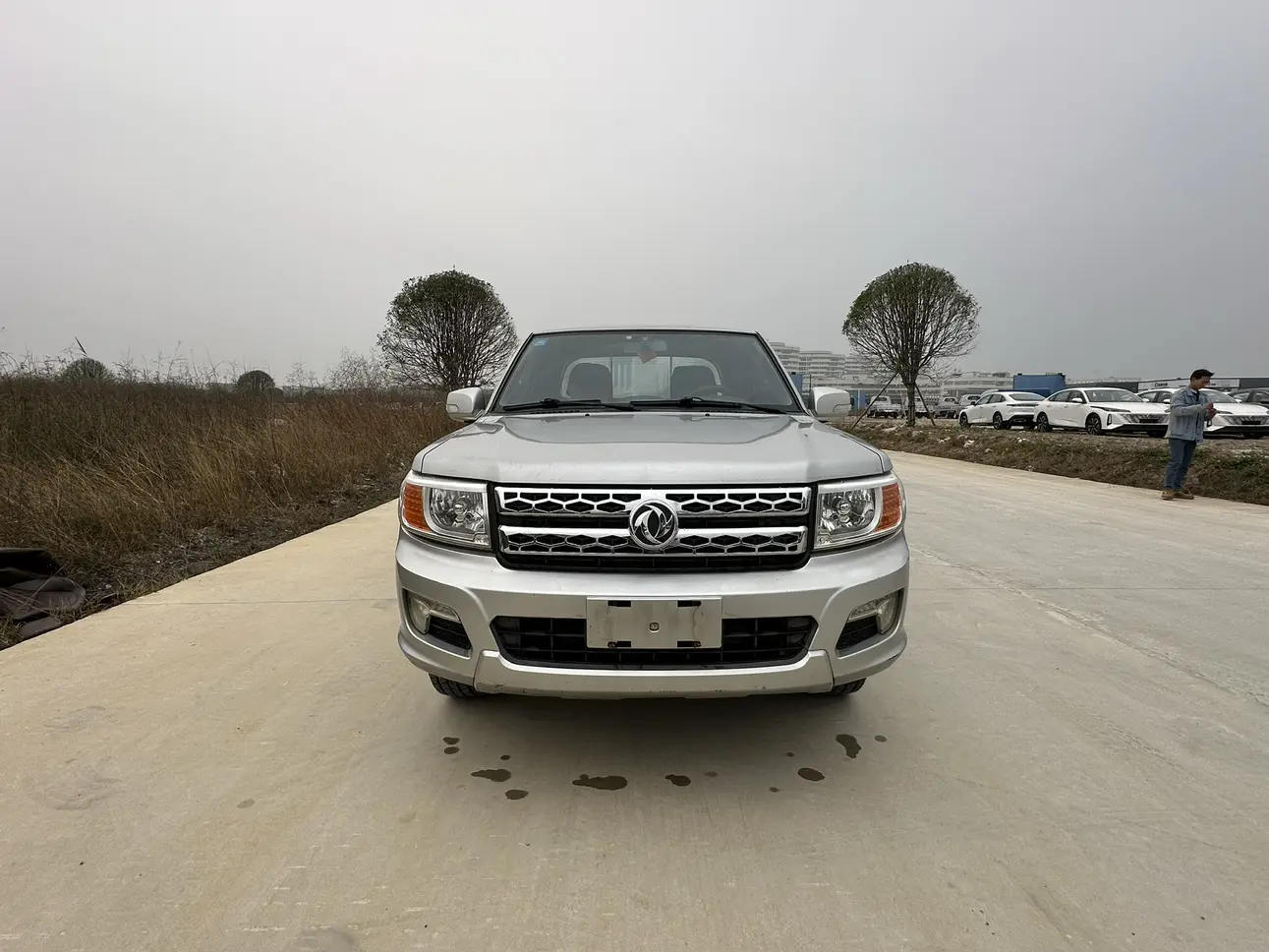 Dongfeng Ruiqi  из Китая