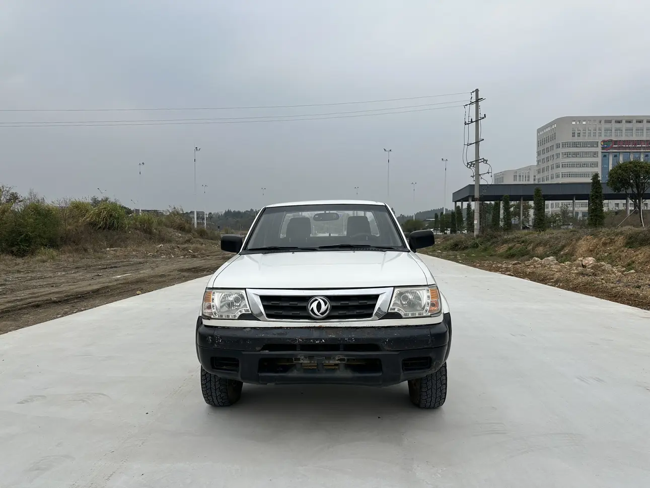 Dongfeng Ruiqi  из Китая