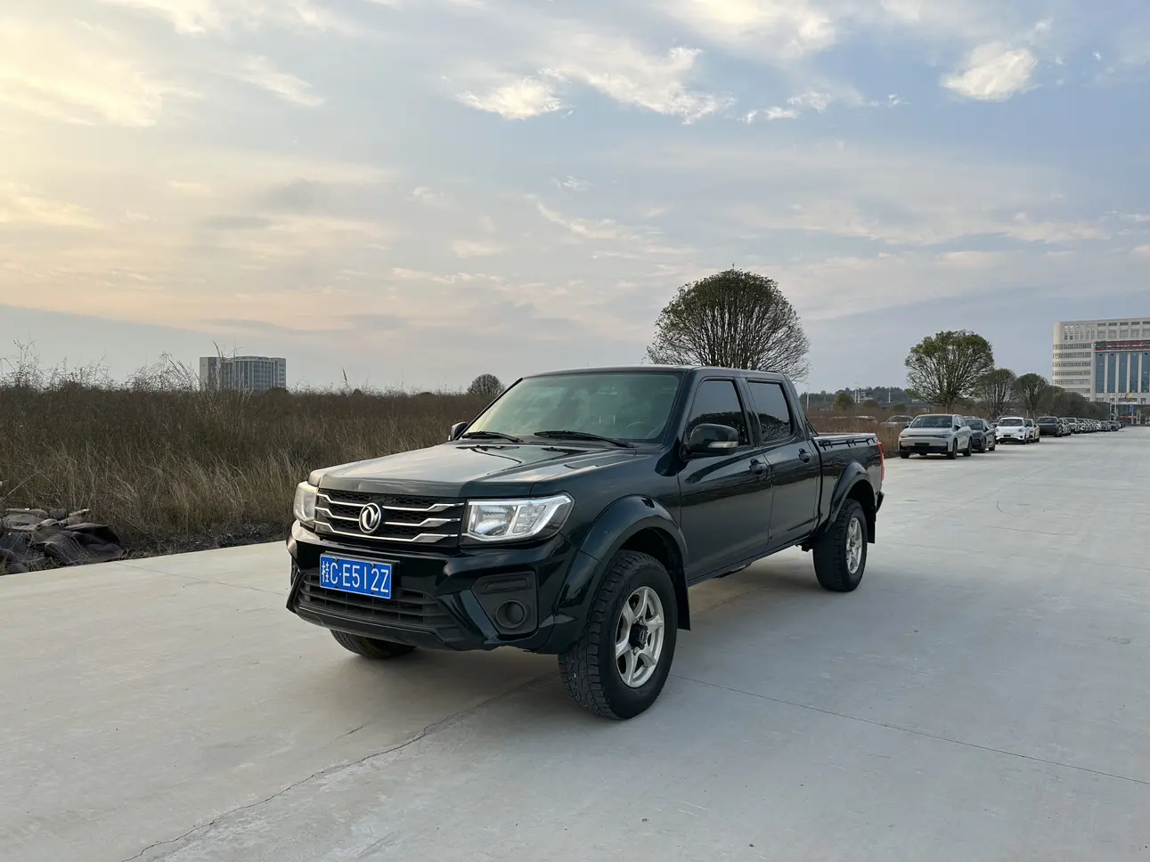 Dongfeng Ruiqi  из Китая