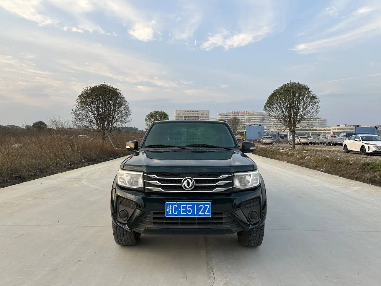 Dongfeng Ruiqi  из Китая