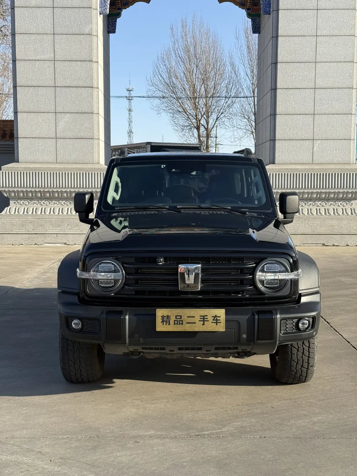 Tank 300  из Китая