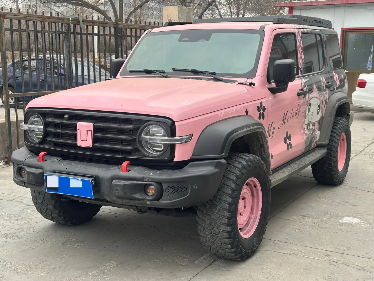 Tank 300  из Китая